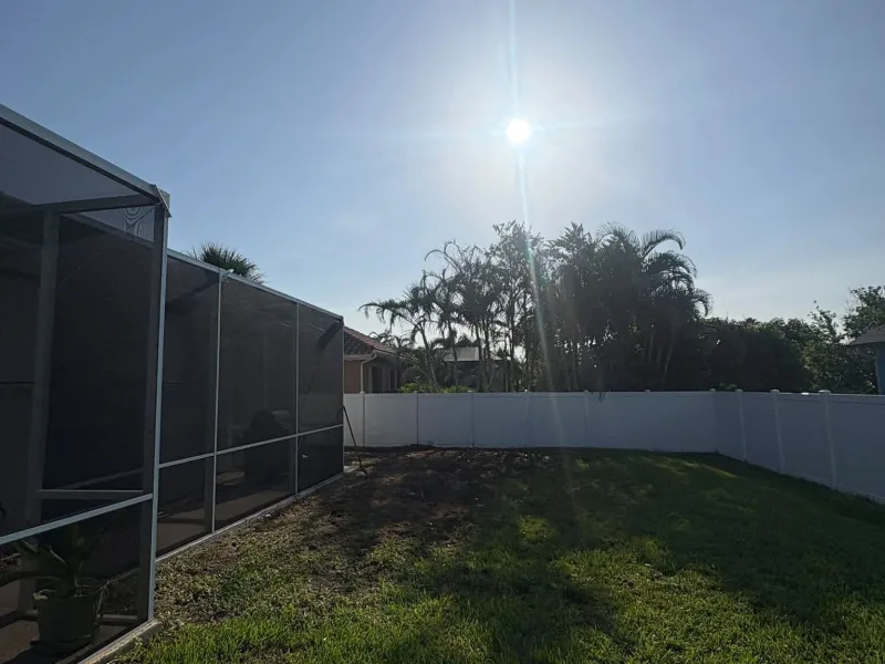 The same yard with the tree gone and open sky over the pool enclosure.