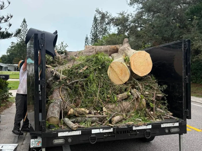 A dump trailer loaded with brush and freshly cut log rounds at the end of a job.