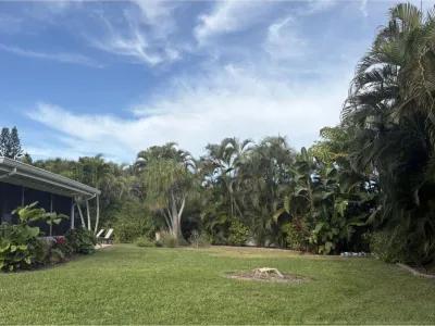 The same lawn with the tree gone and the stump ground out.